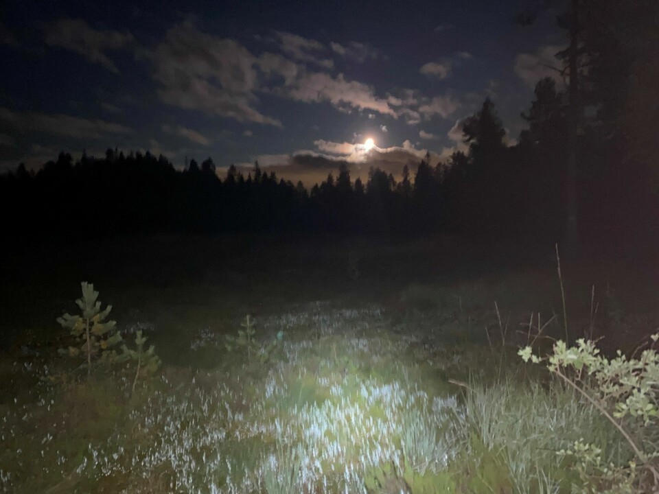 Gaea Norvegica Trail, løpet der ingen kom til mål, der ingen kom halvveis Jørgenfoto_natt_i_myra.jpg