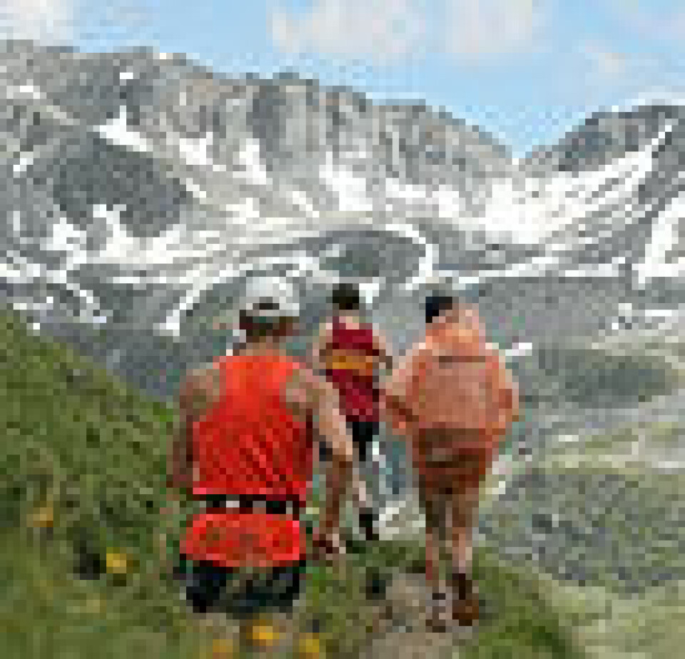 SWISSALPINE MARATHON Andy Mettler SWISSALPINE MARATHON