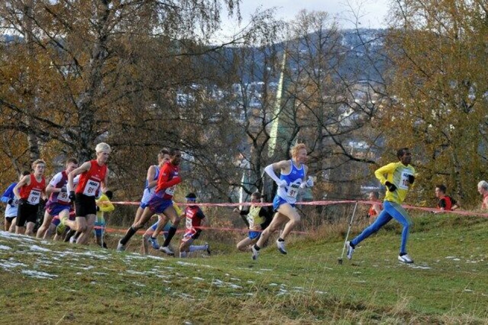 Medaljedryss i nordisk i terrengløp - 6 av 8 gull til Norge i Trondheim