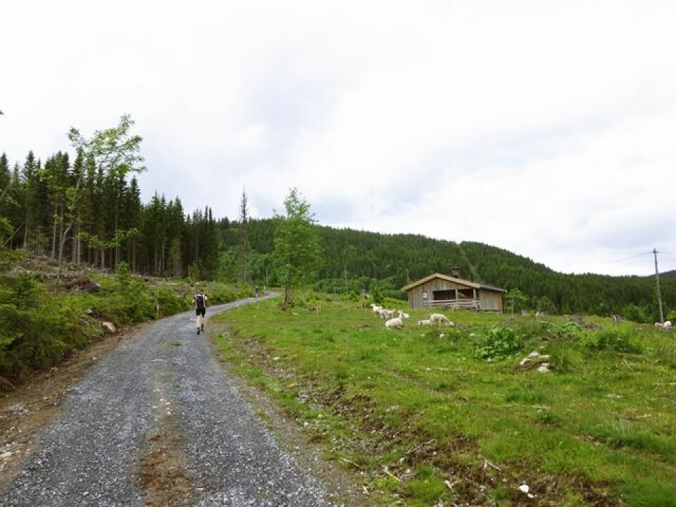 Myllavannet Rundt badet i premier IMG_0069.JPG