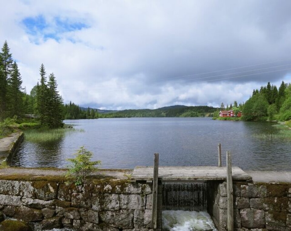 Myllavannet Rundt badet i premier IMG_9976.JPG