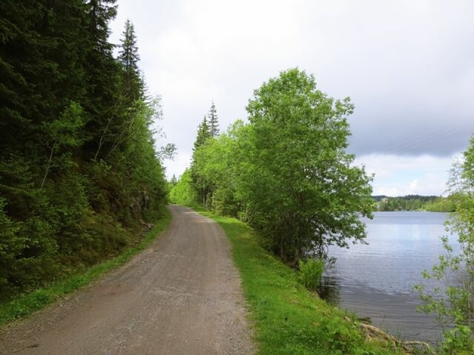 Myllavannet Rundt badet i premier IMG_9977.JPG