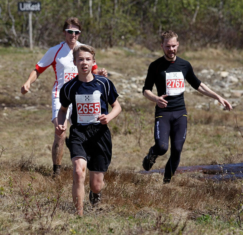 Fjellmaraton fra start til mål med 98 solskinnsbilder! Fjellbukken_tre_loepere_terreng_F6C5553.jpg