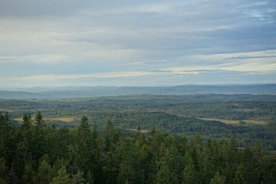 Utsikt fra målområdet på Rafjellet. (Arrangørfoto) Utsikt fra målområdet på Rafjellet. (Arrangørfoto)
