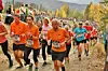 IMG_4037_10km_tre_orange (1280x854)