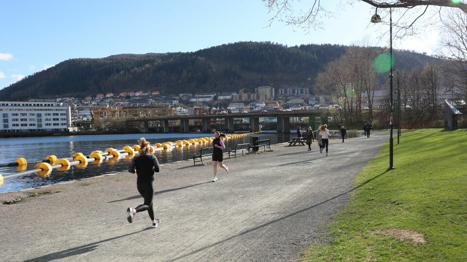 Traséen i Bykarusellen Perseløp går på den vakre gangveien langs Store Lungegårdsvann. Denne brukes mye til løpetrening og jogging. (Foto: Arne Dag Myking) Traséen i Bykarusellen Perseløp går på den vakre gangveien langs Store Lungegårdsvann. Denne brukes mye til løpetrening og jogging. (Foto: Arne Dag Myking)
