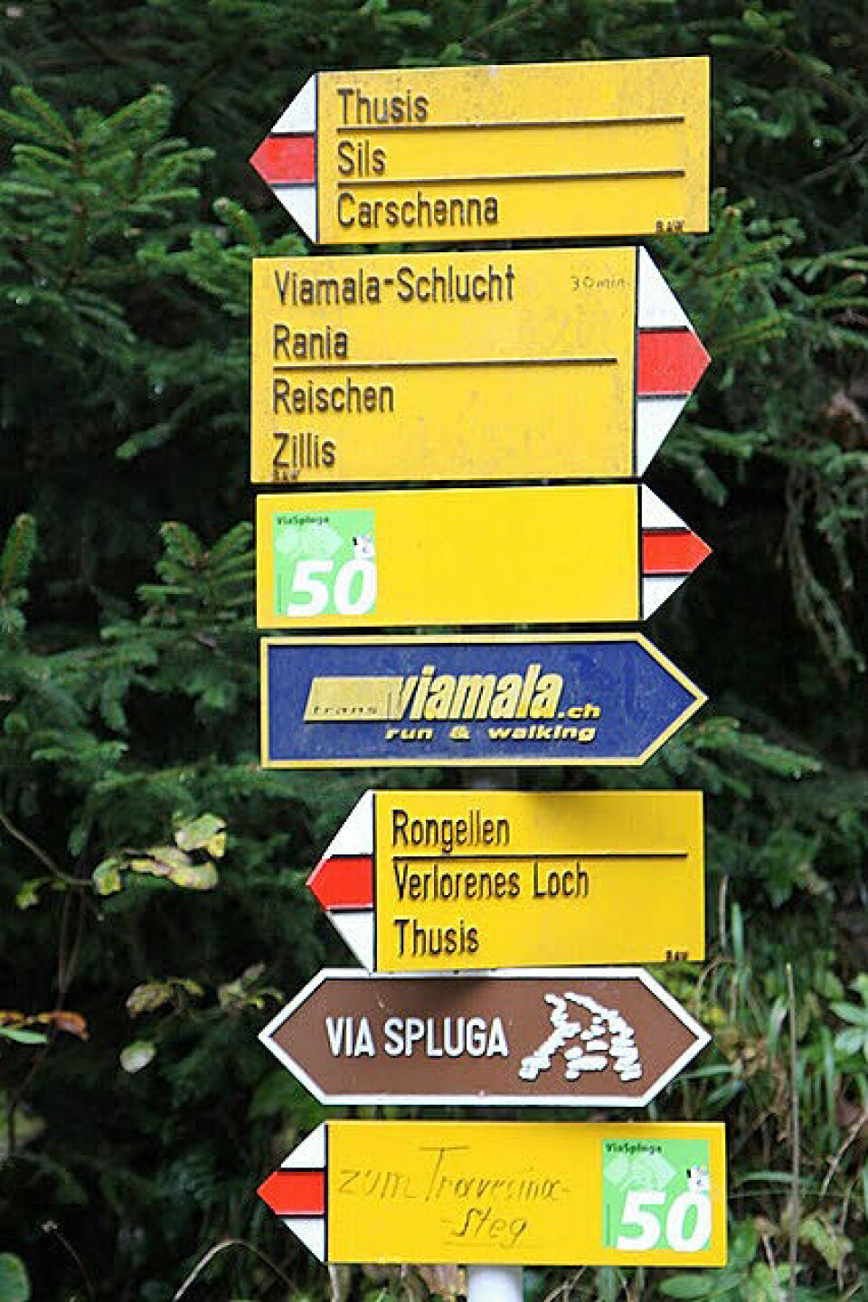 Trans Viamala Run 2010 – Takker! med_eget_skilt_IMG_6953