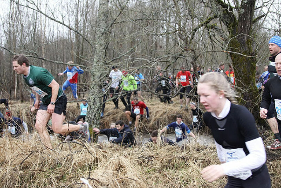 Råskinnet: Ølstad og dobbelt Bjerkreim Raaskinn_hopper_i_bekken_pga_koe_paa_brua_foto_Runar_Gilberg_IMG_2653
