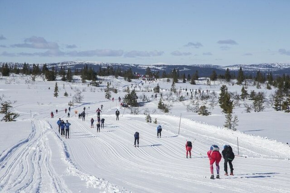 Fra Nyseteråsen 2017. (Foto: Birken/Geir Olsen) Fra Nyseteråsen 2017. (Foto: Birken/Geir Olsen)