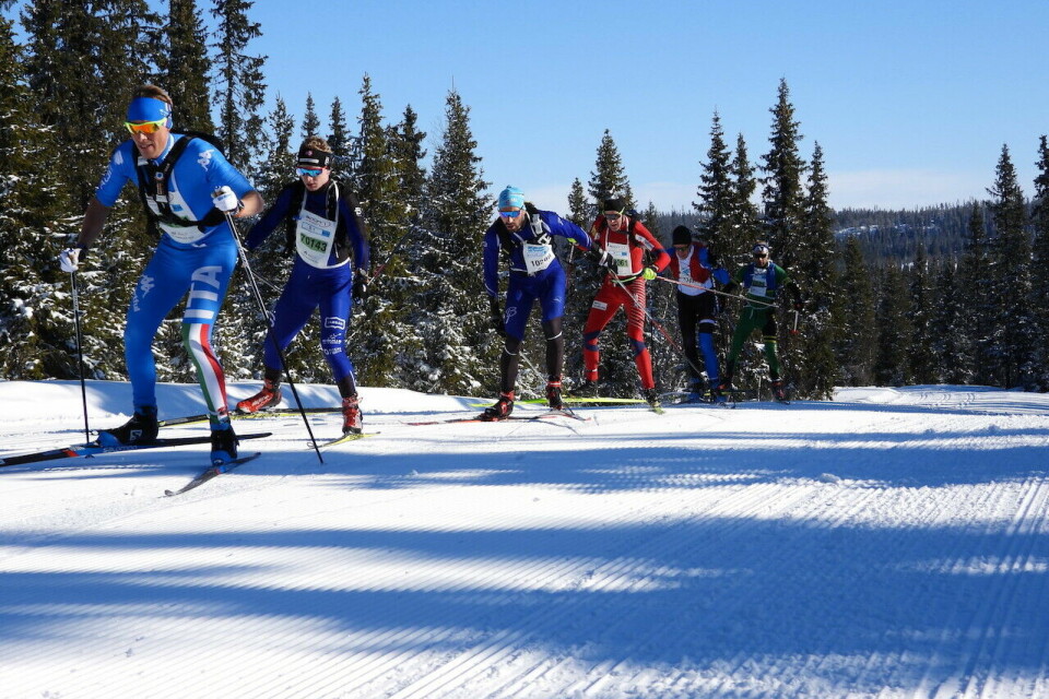 An av tetgruppene i Skøytebirken på vei opp mot Kvarstadsætra. (Foto: Stein Arne Negård) An av tetgruppene i Skøytebirken på vei opp mot Kvarstadsætra. (Foto: Stein Arne Negård)