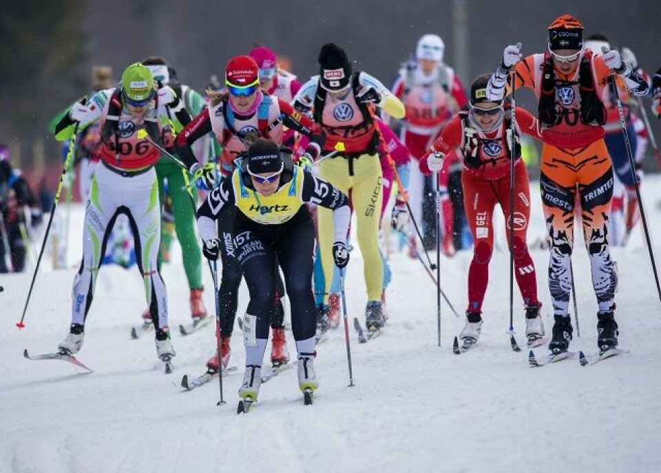 Flere påmeldt til Birkebeinerrennet i år enn i fjor Rena - Lillehammer. Birkebeinerrennet 2017. 18 mars. Sol litt kuldegrader. Ca 9000 påmeldte. Birken Skifestival 2017 ble en suksess! To helger med sol, skyfri himmel og kuldegrader på natta ga flotte spor og bra forhold for årets deltagere. Foto: BI