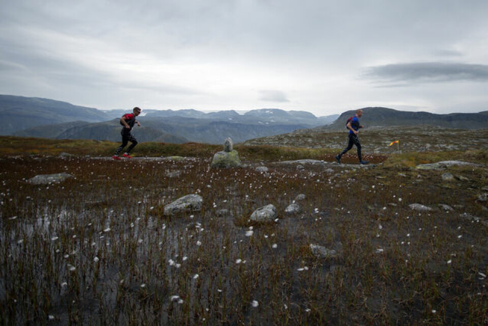 Rafaelsen og Austevoll vant Hardangervidda Marathon foto_Kai_Otto_Melau_4.jpg