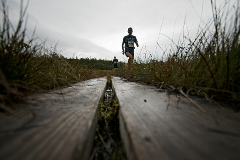 Rafaelsen og Austevoll vant Hardangervidda Marathon foto_Kai_Otto_Melau_6.jpg