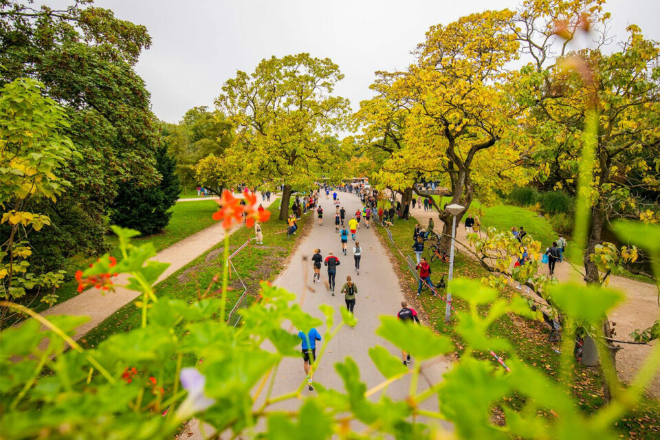1 kvinne og 37 menn fra Norge løp Amsterdam Marathon under 3 timer Amsterdam-park.jpg