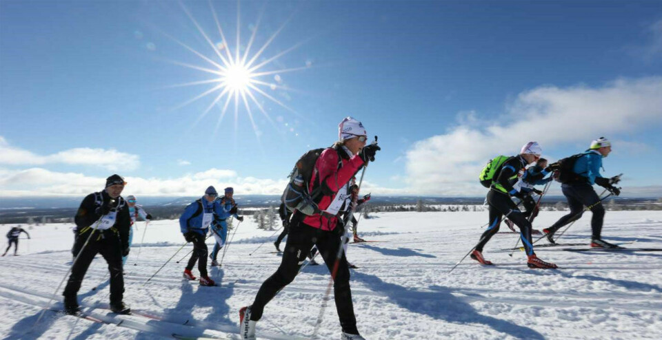 Folkefesten over fjellet utgår også i år men du kan få en liknende skiopplevelse som her i 2019 ved å delta i VinterBirken QR helt fram til 21. mars. (Foto: Geir Olsen) Folkefesten over fjellet utgår også i år men du kan få en liknende skiopplevelse som her i 2019 ved å delta i VinterBirken QR helt fram til 21. mars. (Foto: Geir Olsen)