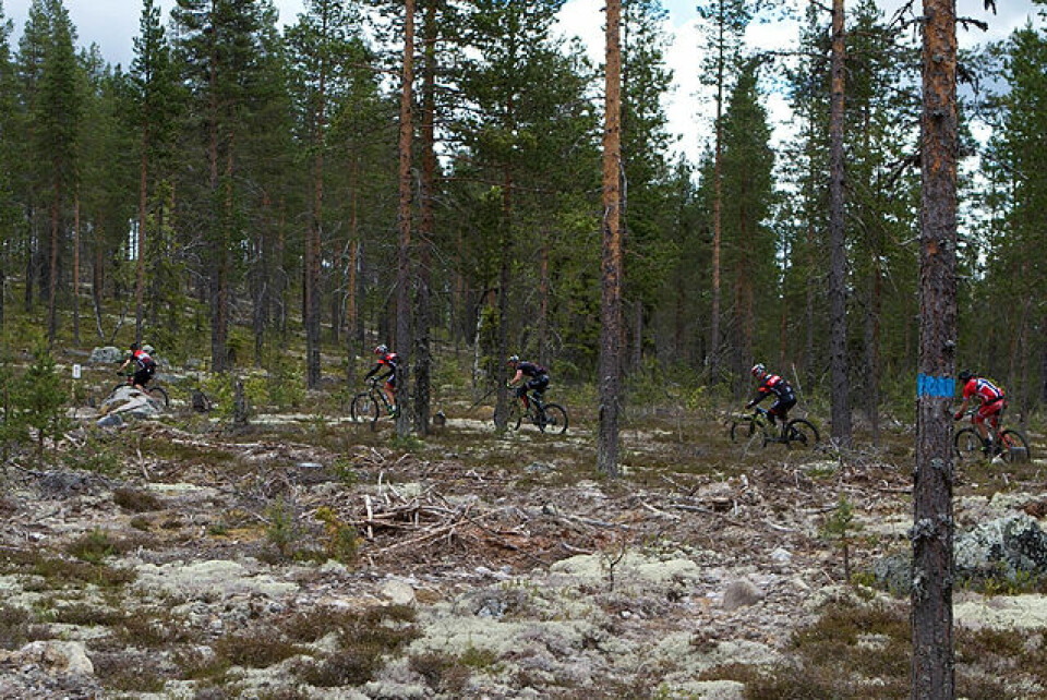 Favorittene vant 3-dagersrittet TransØsterdalen Fire_bak_vinneren.jpg