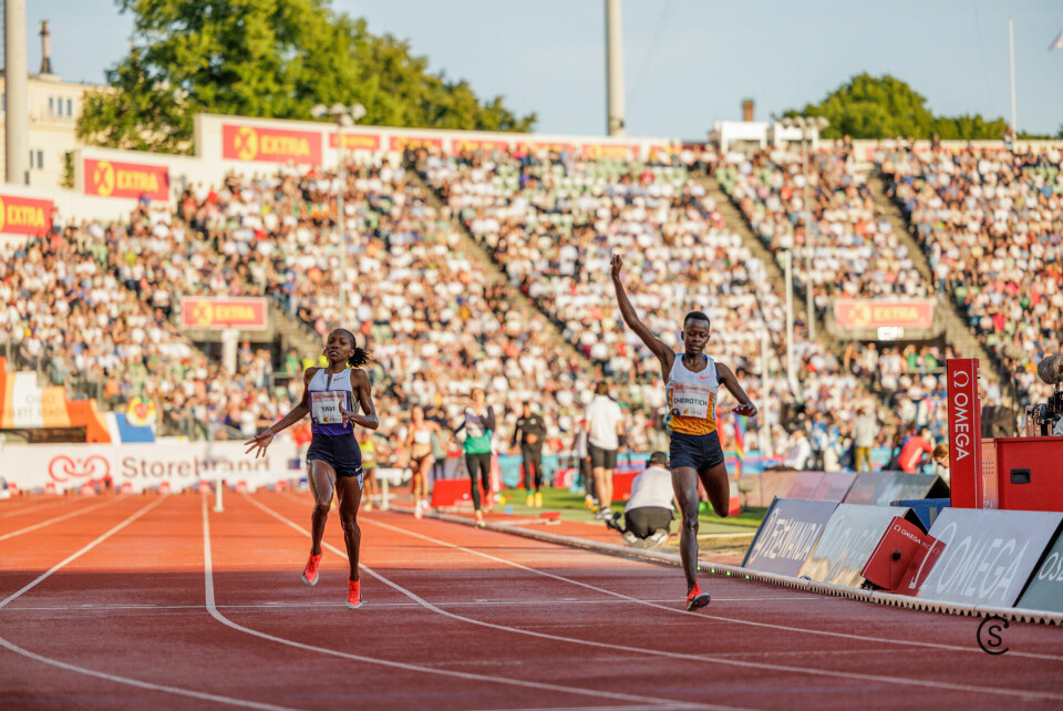 3000 m hinder: Fulgte ikke haren, men likevel ble det årsbeste i verden og Bislett-rekord 12-3000m-steeplechase-women_2034_1348.jpg