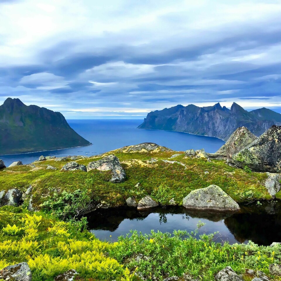 Xreid: Løpet for de som blir rastløse av å ligge på solseng Cecilie_Olsen-Mefjorden_fra_Svartholvatnet.jpg