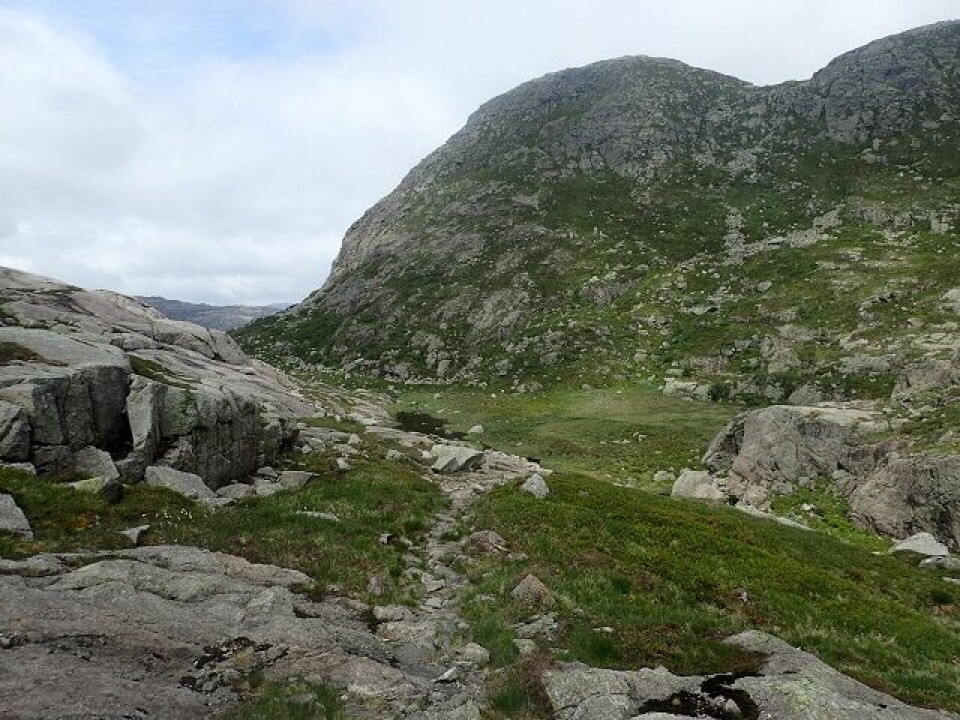 Jon Duncan vant Lysefjorden Rundt Extreme Ultra Trail terrenget.jpg