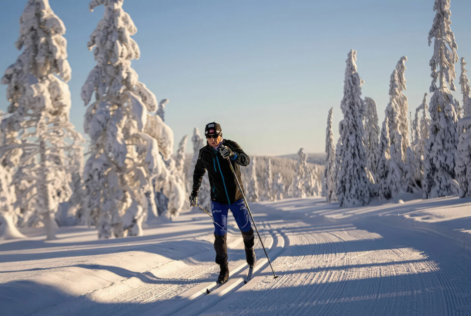 Bjørn Nysæter tester forholdene i forkant av Trysil Skimaraton. - Fantastiske løyper, melder han. (Foto: Jonas Sjögren/Destinasjon Trysil) Bjørn Nysæter tester forholdene i forkant av Trysil Skimaraton. - Fantastiske løyper, melder han. (Foto: Jonas Sjögren/Destinasjon Trysil)