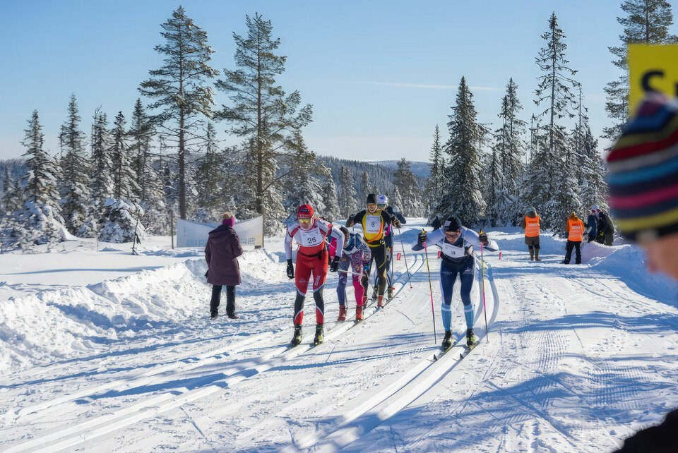 Bjørn Nysæter (72 år) skal gå Trysil Skimaraton for syvende gang trysil-skimaraton-01.jpg