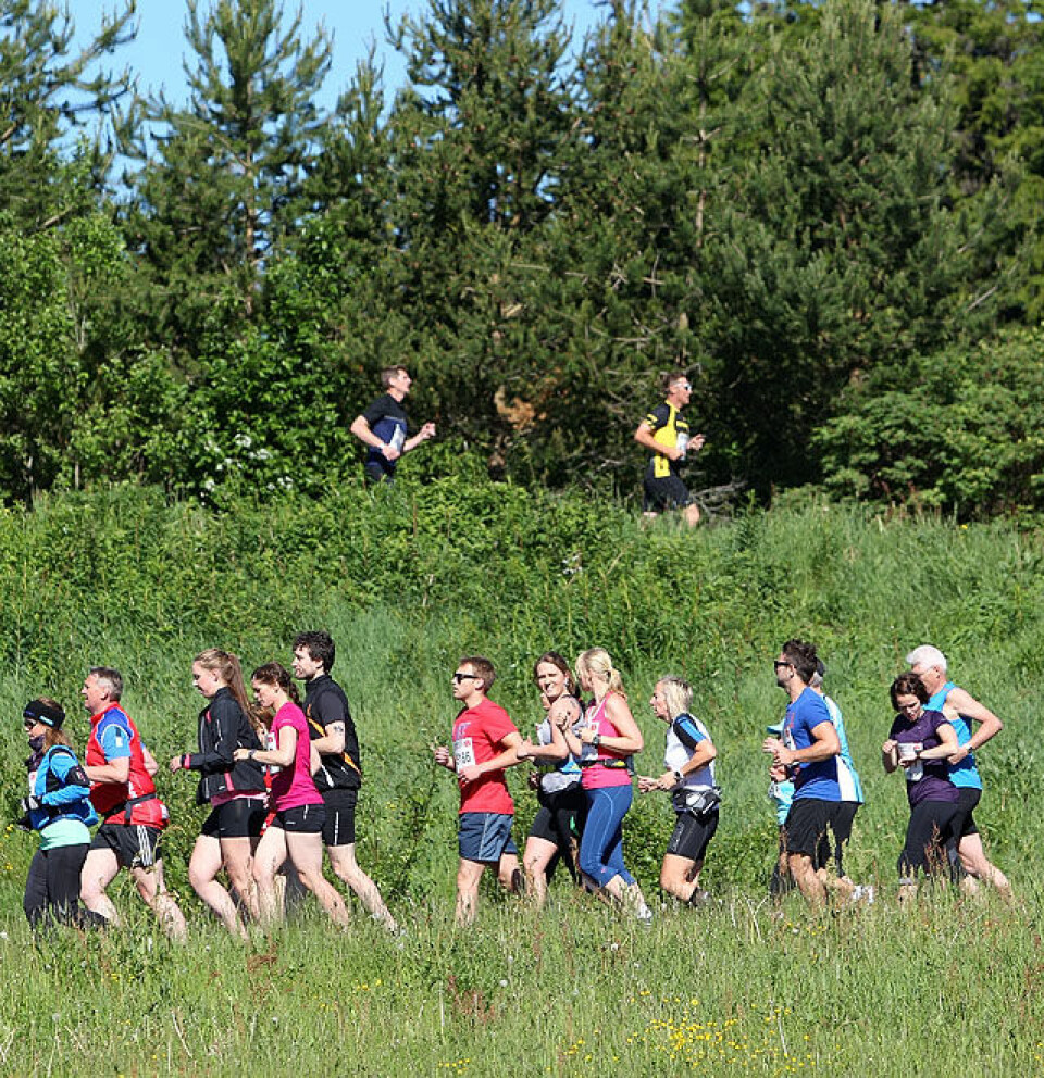 Gunhild Halle Haugen pluss far og sønn Nyquist best i HalvBirken Halvbirk_i_det_groenne_startrunde_A20G0681.jpg