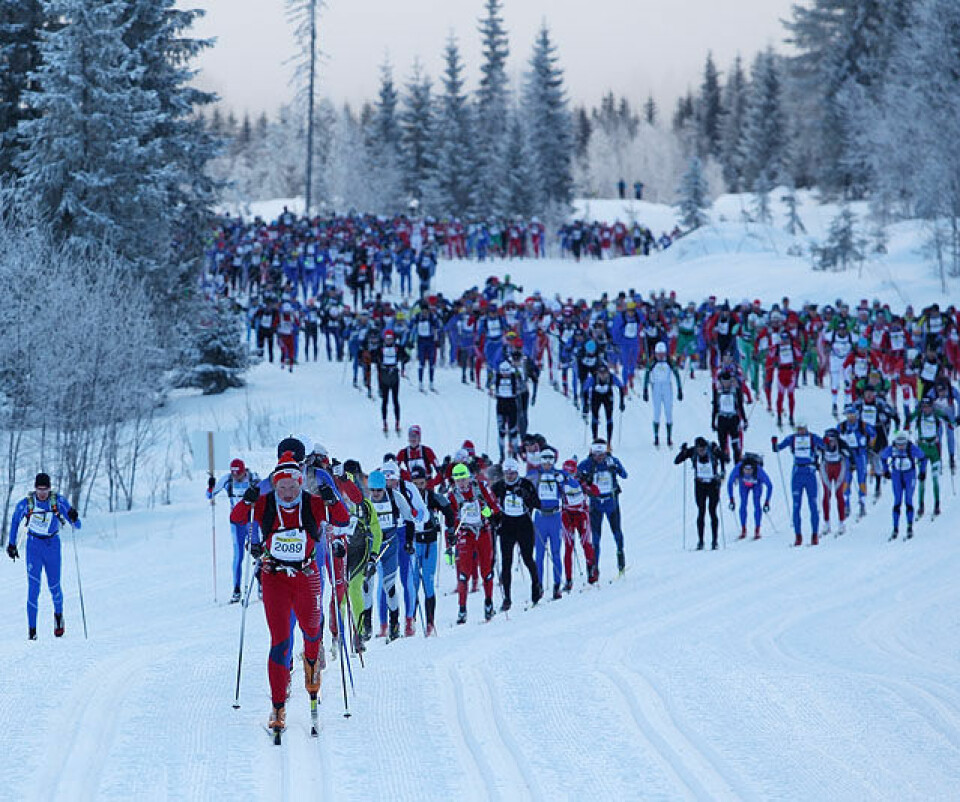 'Best Birkebeiner ever!'