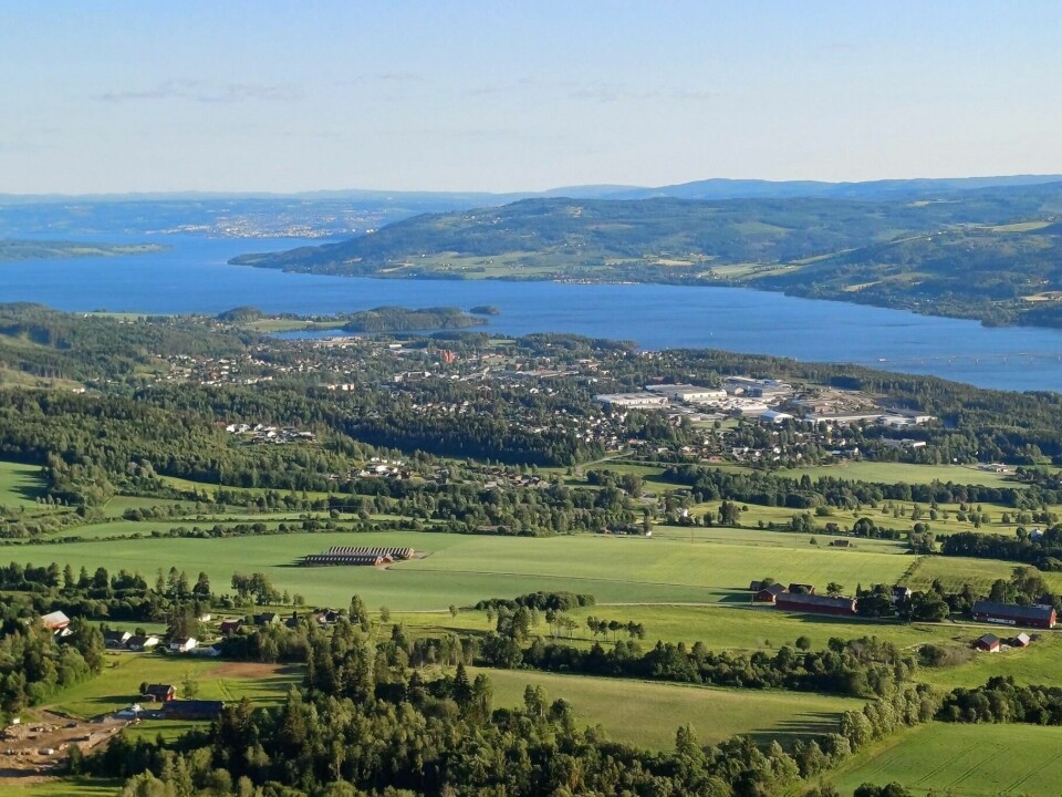 Lørdag kan du nyte utsikten over store deler av Ringsaker og Mjøsa med god samvittighet etter målgangen i Lundehøgda Opp. (Foto fra Lundehøgda Opp sin facebookside) Lørdag kan du nyte utsikten over store deler av Ringsaker og Mjøsa med god samvittighet etter målgangen i Lundehøgda Opp. (Foto fra Lundehøgda Opp sin facebookside)