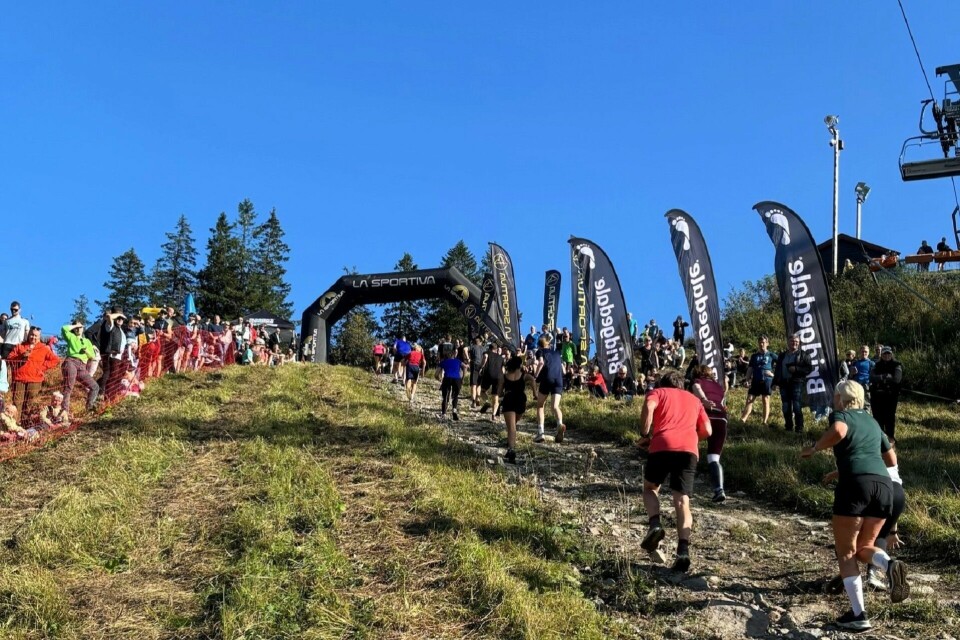 Det var overraskende fine forhold og idéell temperatur for vel 2250 motbakkeløpere i årets utgave av Oslos Bratteste. (Foto: Christian Prestegaard) Det var overraskende fine forhold og idéell temperatur for vel 2250 motbakkeløpere i årets utgave av Oslo Bratteste. (Foto: Christian Prestegaard)