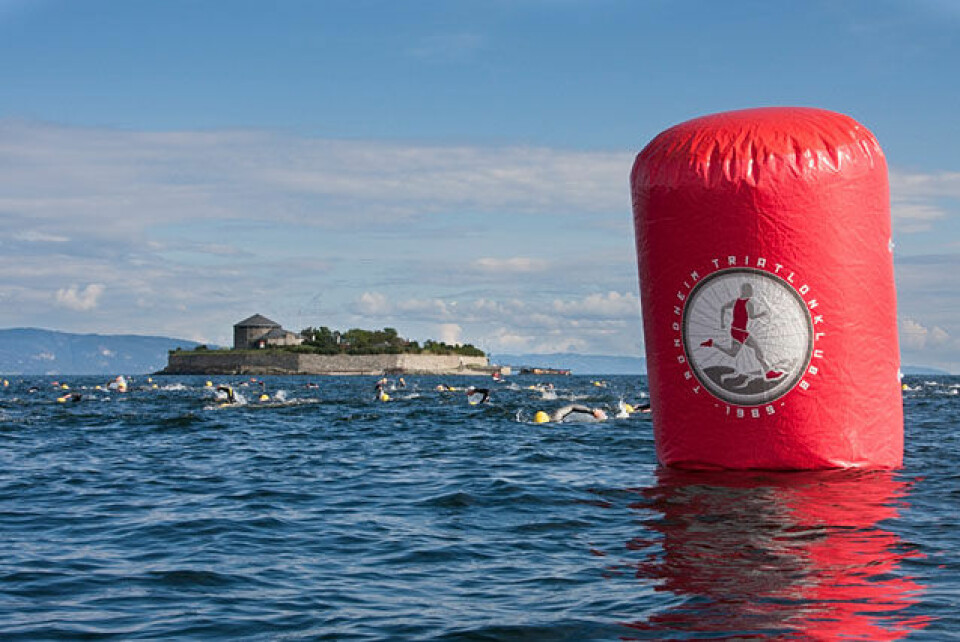 Nok en suksess for Trondheim Triatlon svoemming_2