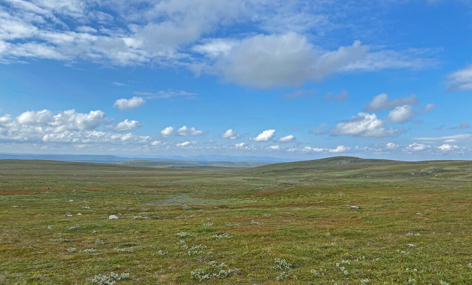 Flotte opplevelser på Finnmarksvidda under Arctic Alta Ultra vidda.jpg