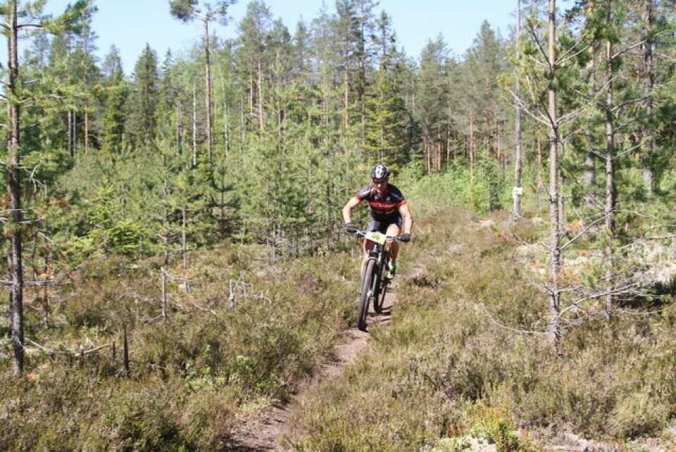 Store svingninger i sykkelritt i Hedmark Stephan_Hartz_Repshus