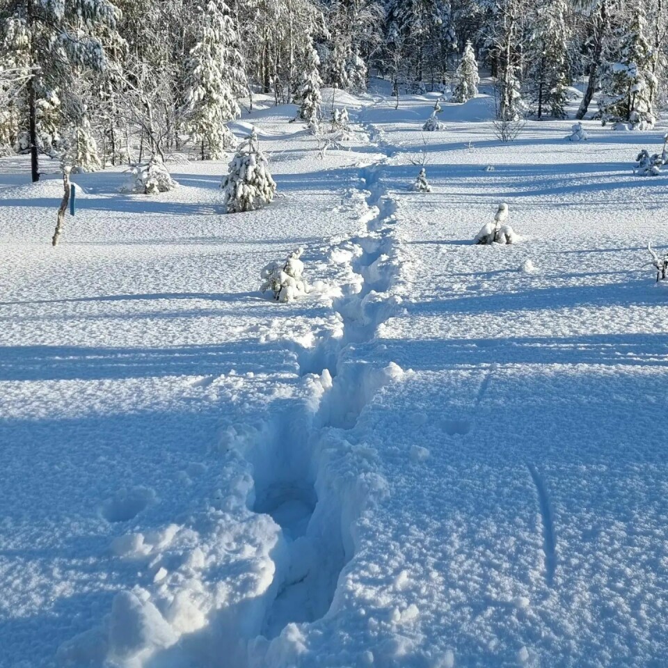 Leif Abrahamsen seiret i Koldbrann 99K etter 27 timer i snø Sti.... foto_Leif.jpg