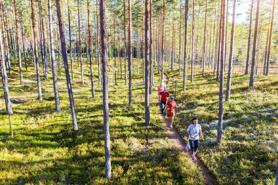 Kynna Triatlon - en annerledes triatlon på Kynna 3. september L¢ping.jpg