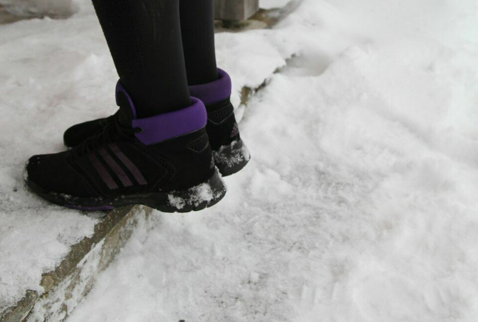 Styrkeøvelsene kan gjøres ute både sommer og vinter Linda Cedell, Positiv Trening og Helse i Gjerdrum