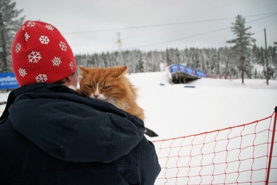 Marit Bjørgen og Martin Johnsrud Sundby vant skiathlon på Gåsbu Kjendis_katten_Jesperpus_på_Ski_NM.jpg