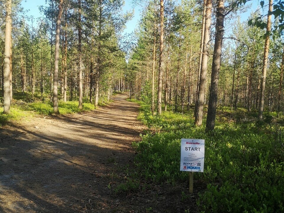 De tre løpene i vårens virtuelle karusell i Elverum går på mjuke bårnålstier øst, nord og vest for sentrum. Her fra starten på Morokuten i Svartholtet. (Foto: Rolf Bakken) De tre løpene i vårens virtuelle karusell i Elverum går på bårnålstier øst, nord og vest for sentrum. Her fra starten på Morokuten i Svartholdet. (Foto: Rolf Bakken)