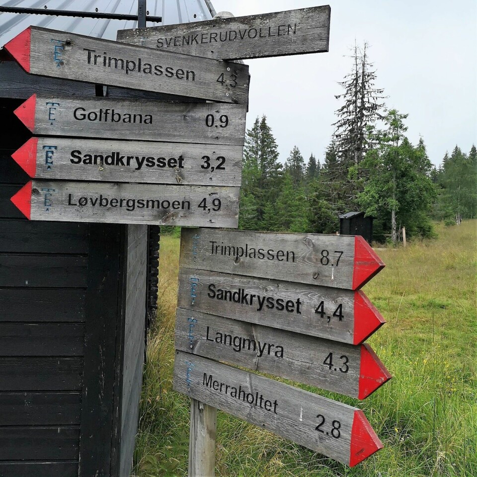 Drømmen om den perfekte langturen