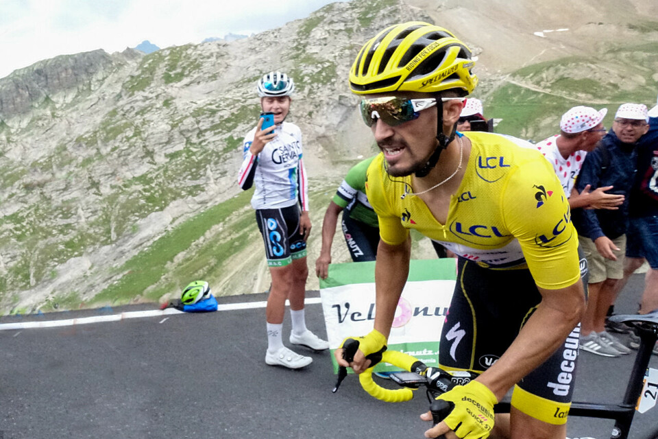 Julian Alaphilippe i gul trøye i Tour de France 2019. I år fikk han verdensmestertrøyen. (Foto: Arne Dag Myking) Julian Alaphilippe i gul trøye i Tour de France 2019. I år fikk han verdensmestertrøyen. (Foto: Arne Dag Myking)