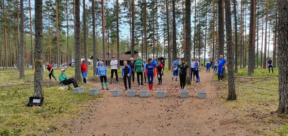Bedrift o-løp på furumoen i Elverum Bedrift-o Elverum (1)