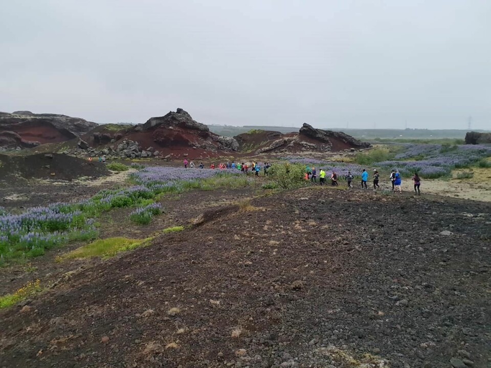 To tredjeplasser i Ecotrail Reykjavik 82 km Lavalandskap.jpg