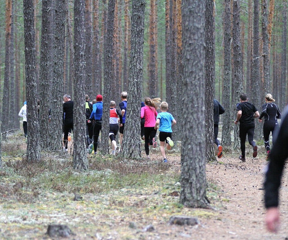 Johan Edin vant i Elverum