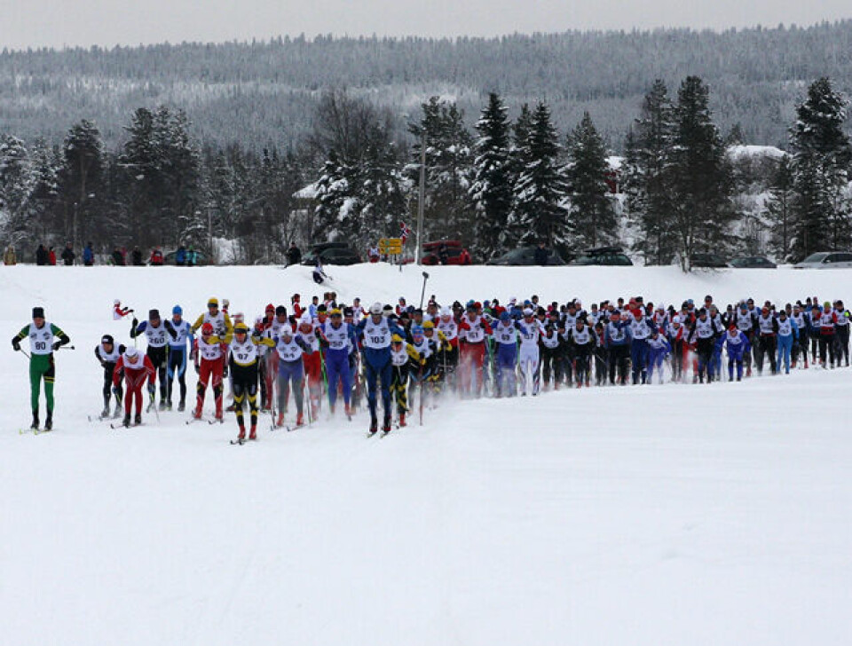 Tore Stengrundet årets Trysil-Knut