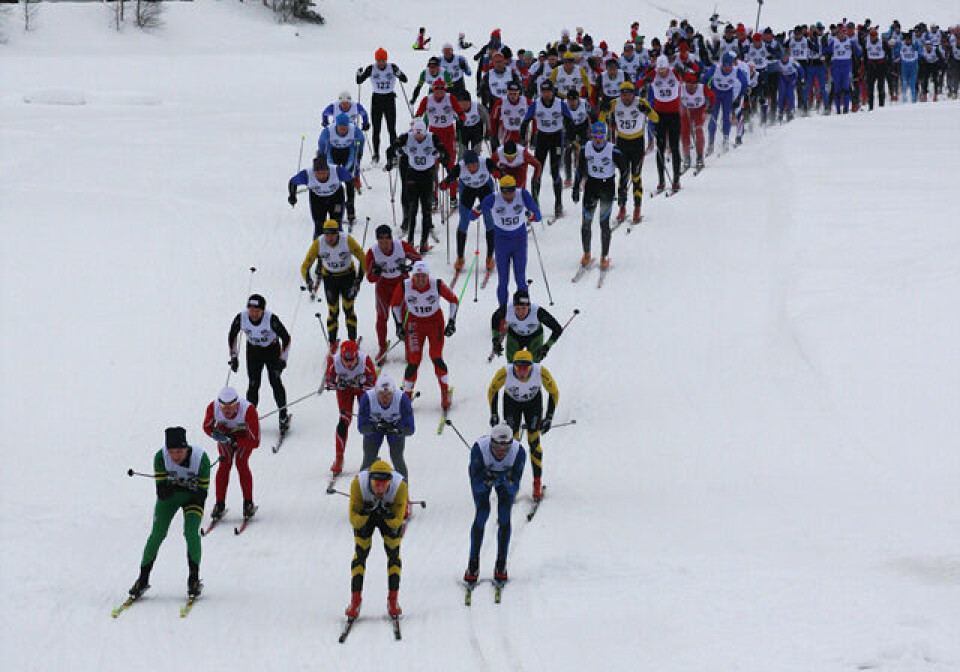 Tore Stengrundet årets Trysil-Knut