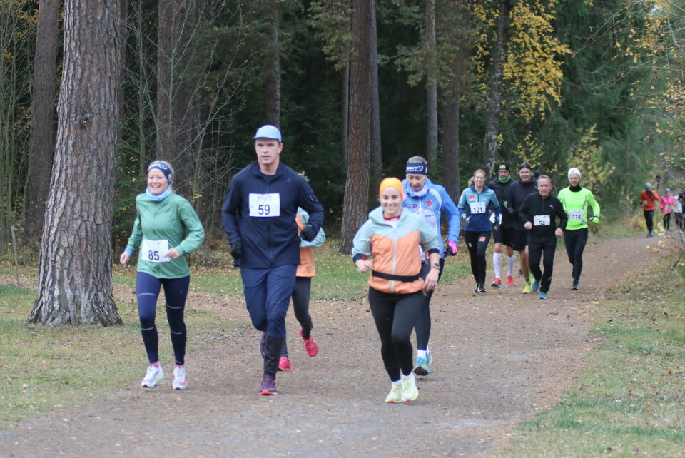 En optimistisk gjeng passerer Klatreparken på Domkirkeodden for 6. gang (fra venstre): Marte Ihrstad, Erlend Laukvik, Kristin Vardebakken og Ingrid Robøle. (Foto: Rolf Bakken) En optimistisk gjeng passerer Klatreparken på Domkirkeodden for 6. gang (fra venstre): Marte Ihrstad, Erlend Laukvik, Kristin Vardebakken og Ingrid Robøle. (Foto: Rolf Bakken)