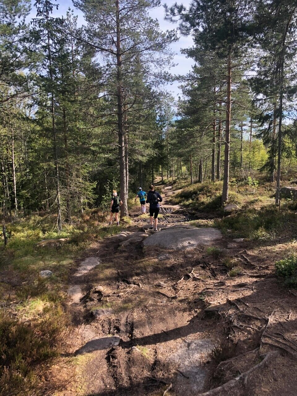 Magnus var heldig, fikk med tre sterke ultraløpere på 16 mil treningstur til Verdens Ende Vestfoldskogen (960x1280).jpg