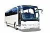 BIRKENBUSS_shutterstock_art