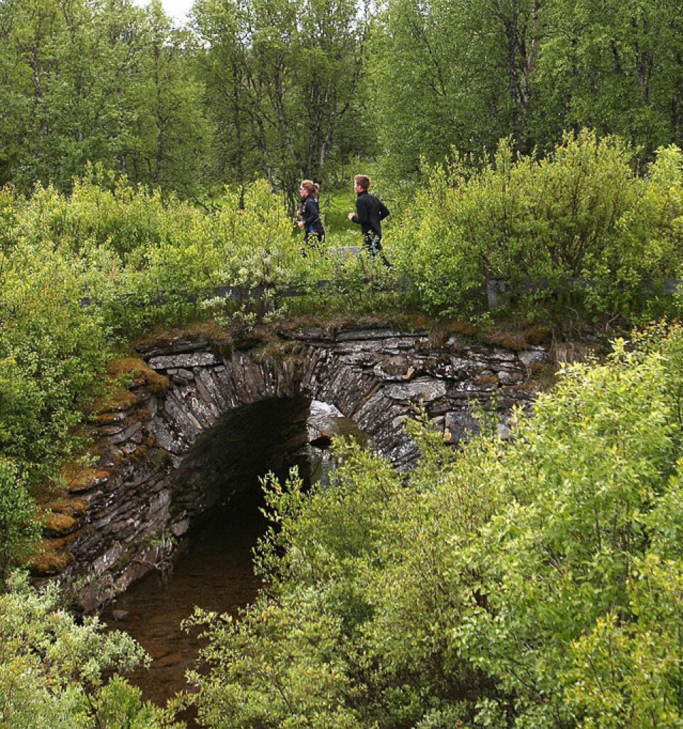 Dag 3: Mot trilleravslutning for damer i St. Olavsloppet Karl_Johansvegen_steinvelvsbro1_A20G8503.jpg