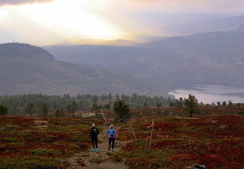 Håkon Urdal holdt sterke løpere bak seg i Skåbu Fjellmaraton Skaabu_natur_640_IMG_0685.jpg