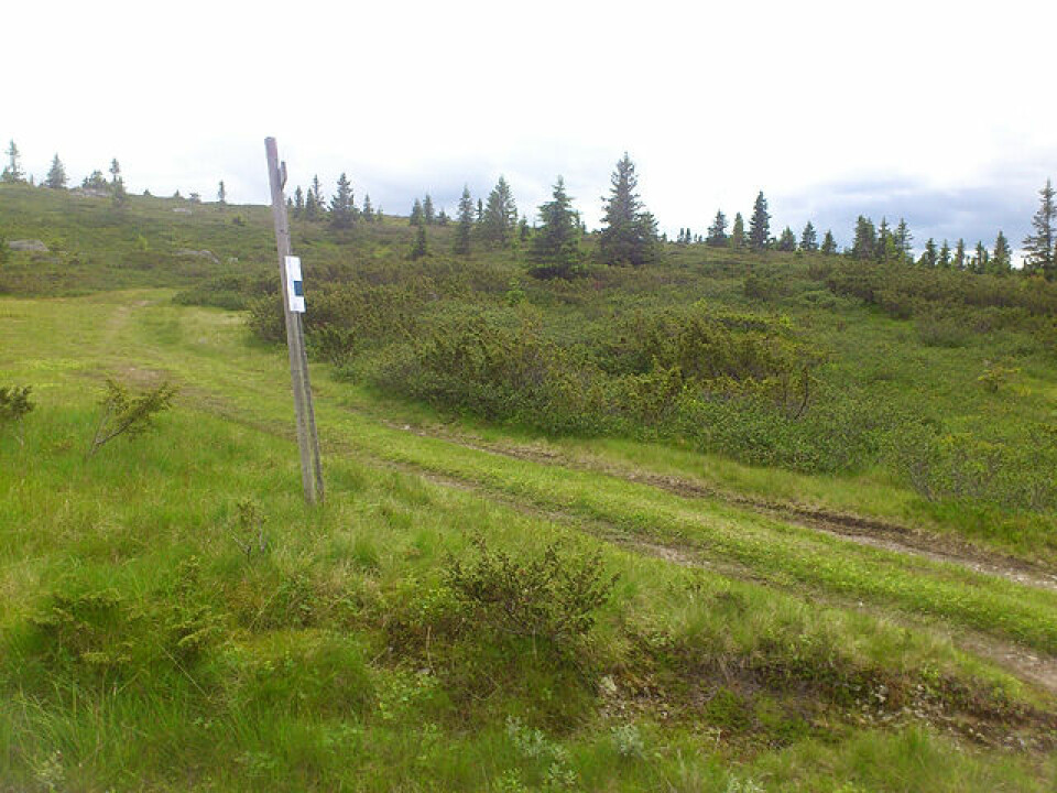 Sjusjøen også sommerstid